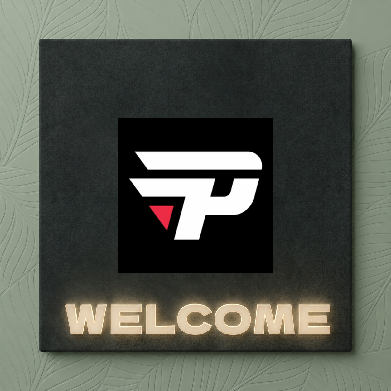 NEW TEAM: PAIN ESPORTS