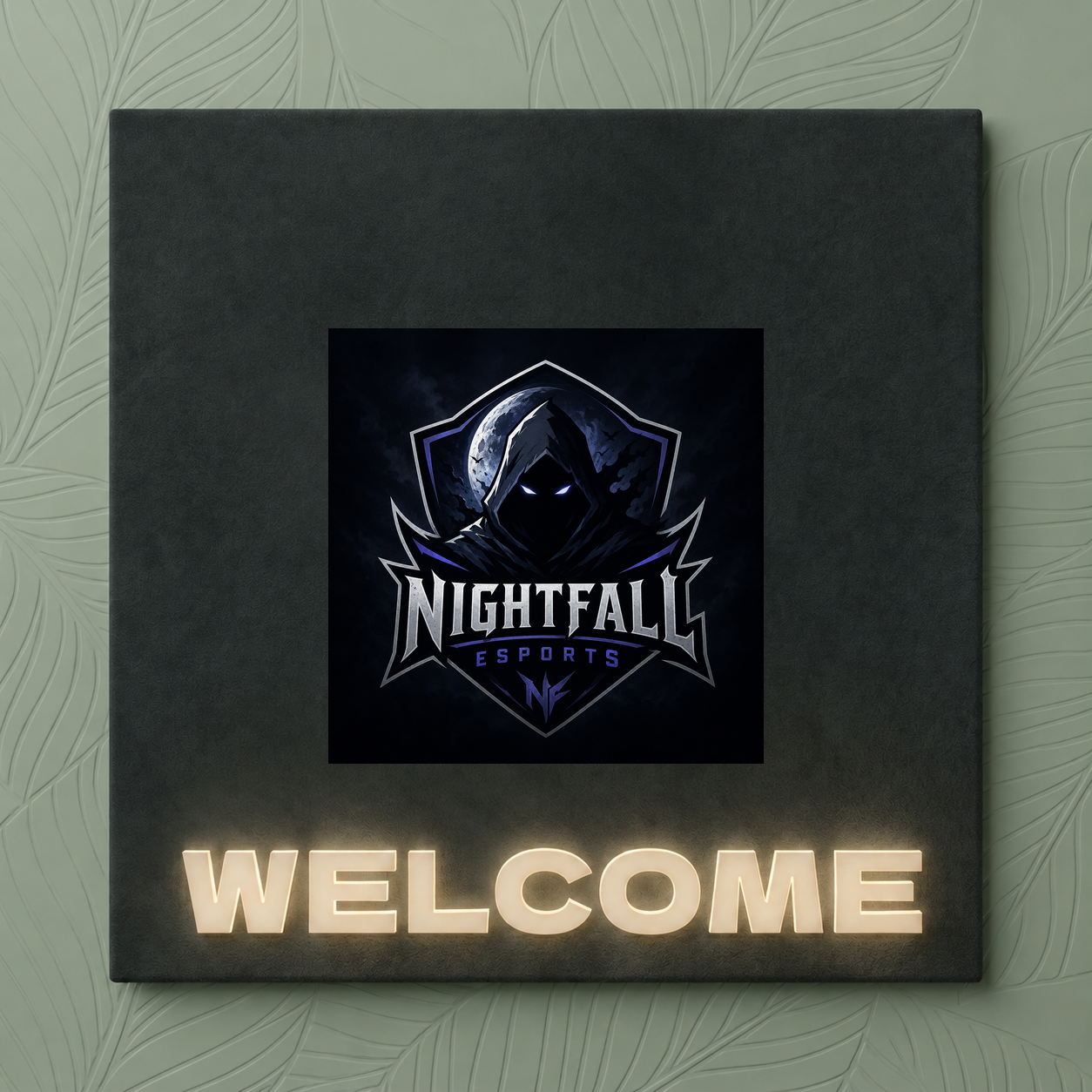 NEW TEAM: NIGTHFALL ESPORTS