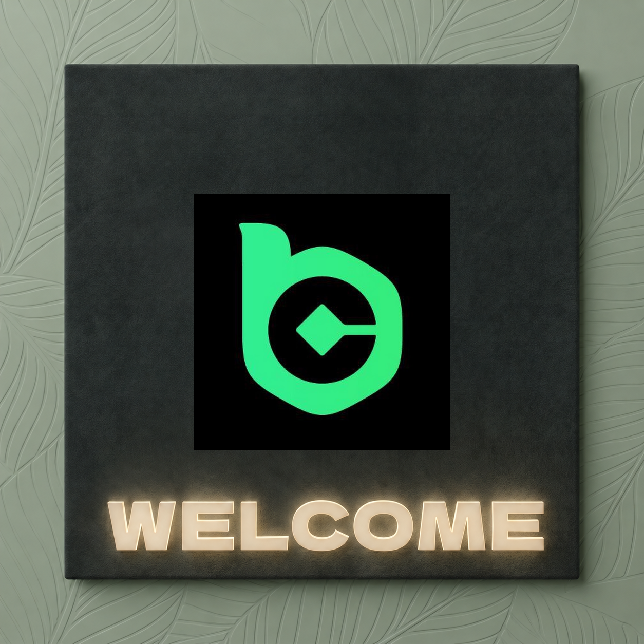 NEW TEAM: BC.GAME